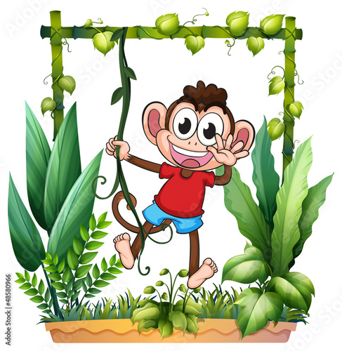 A monkey waving