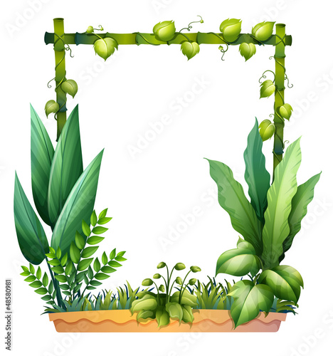 Green plants