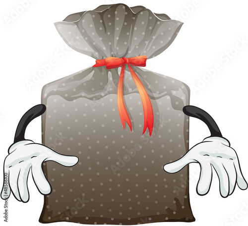 A pouch bag