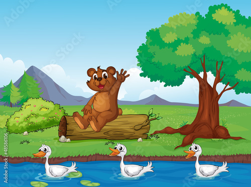 A smiling bear and ducks