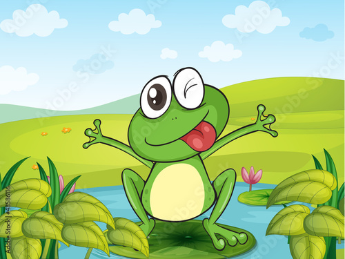 A smiling frog