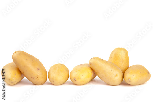 Kartoffel Freisteller VI