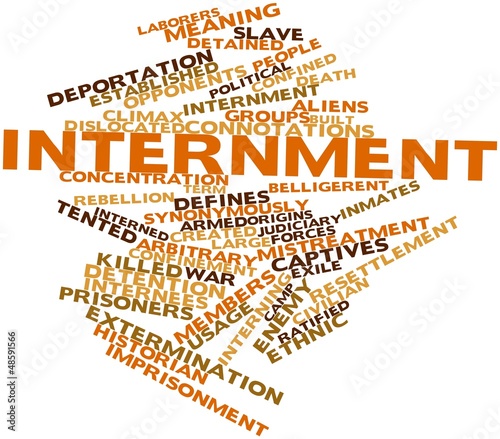Word cloud for Internment photo