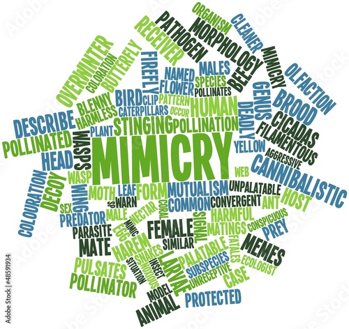 Word cloud for Mimicry