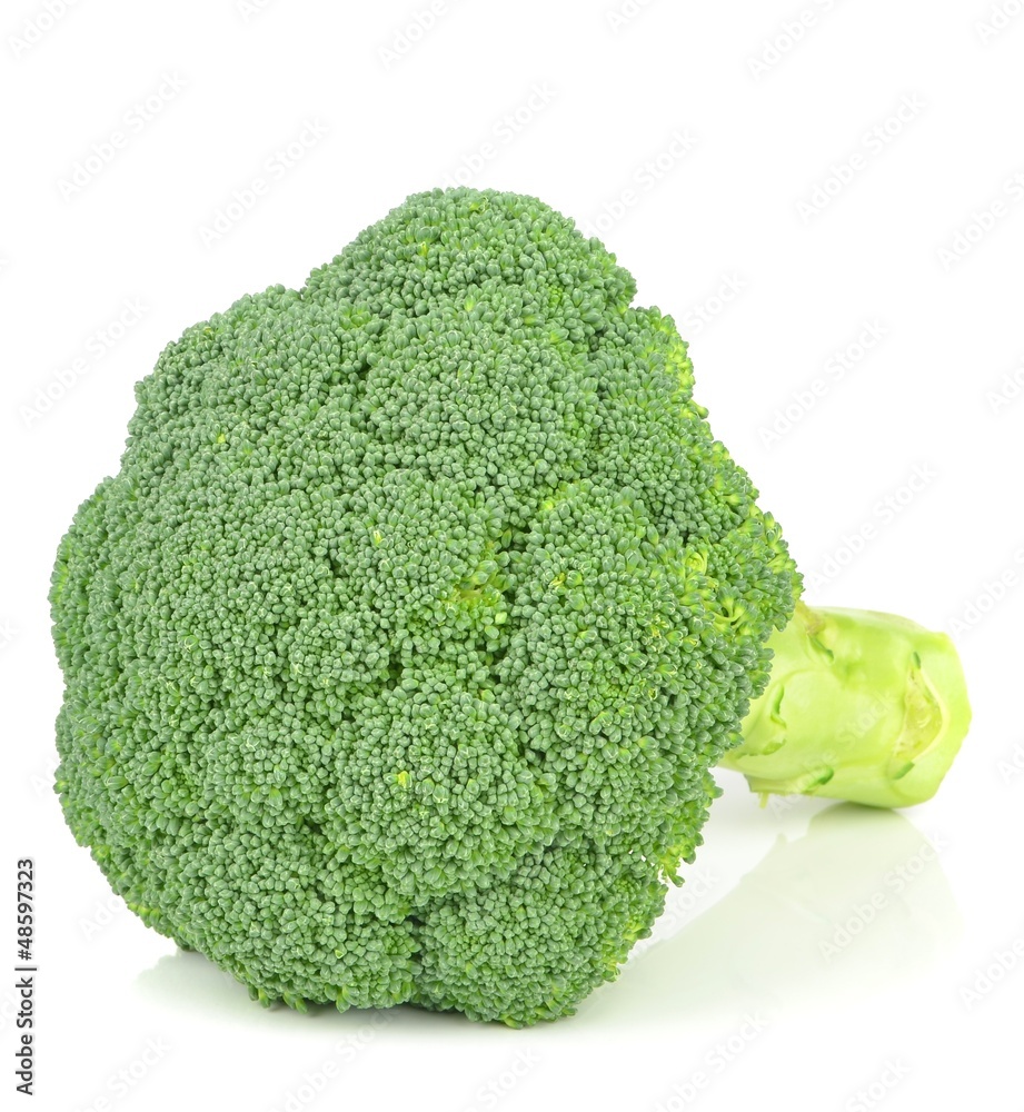 A piece of fresh broccoli on a white background A piece of fresh broccoli on a white background