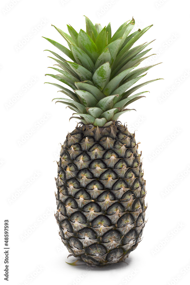 Fototapeta premium Pineapple