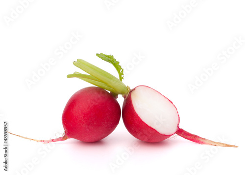 Small garden radish