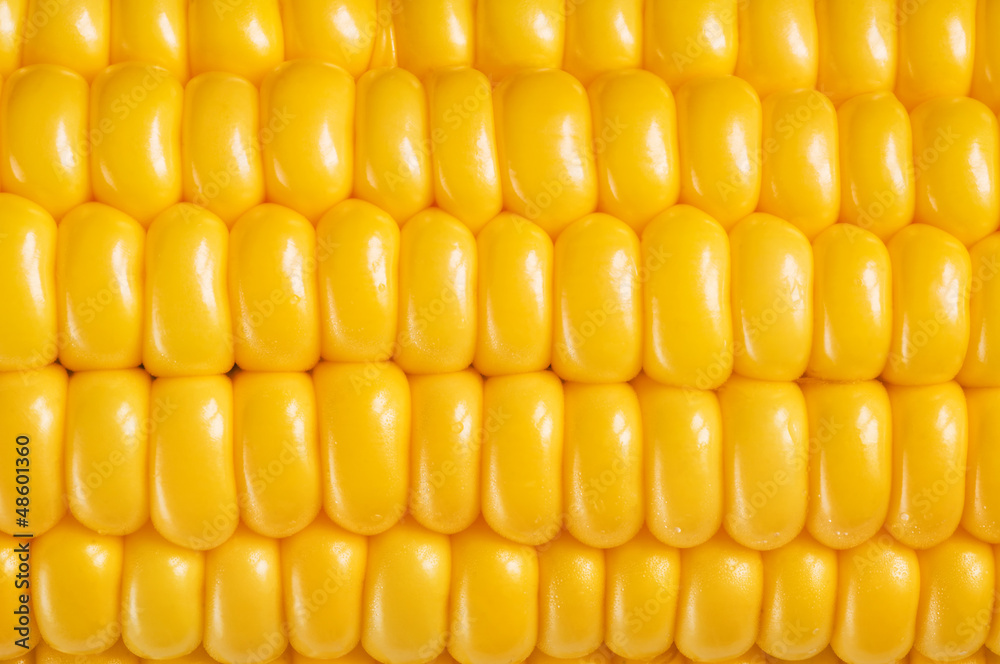 corn background, macro closeup corn background, macro closeup