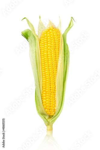Ear of Corn isolated on a white background