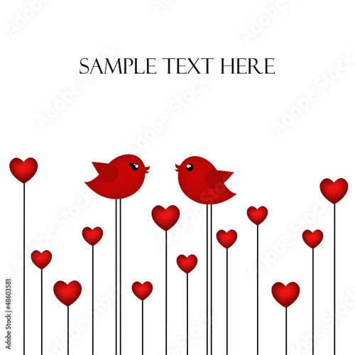 Loving pair of birds
