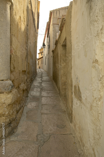 Stone street in the historical centre of Cordoba, Spain. © monysasi