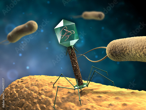 Картината върху платно Bacteriophage