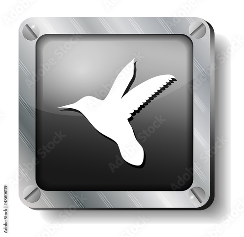 steel colibri icon