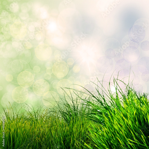Fototapeta Naklejka Na Ścianę i Meble -  Frühlings-Hintergrund: grünes Gras mit Bokeh
