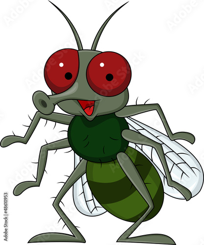 Fly cartoon