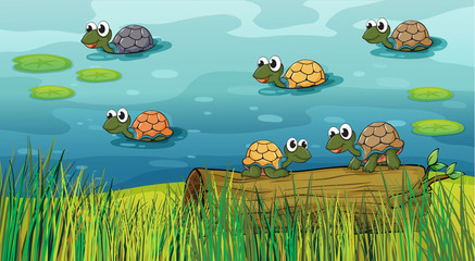 Handdoek met foto Onderwaterwereld Groep schildpadden in de rivier  © GraphicsRF