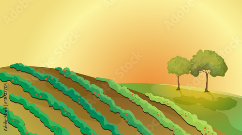A farm in the hills