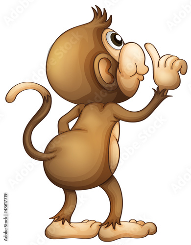 A monkey's back