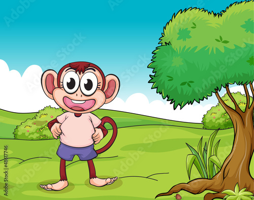 A monkey standing