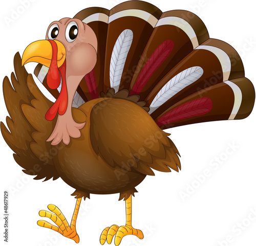 A turkey