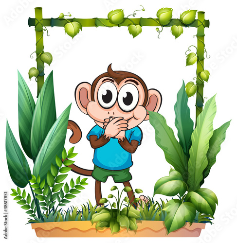 A monkey with a blue shirt