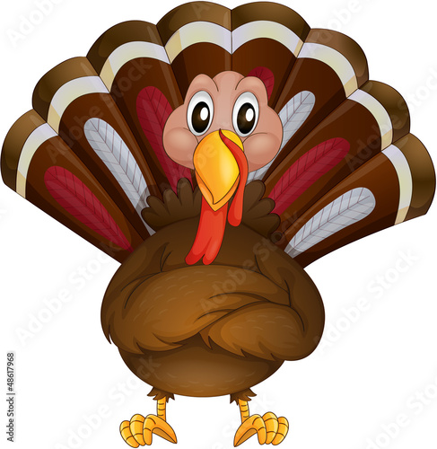 A problematic turkey