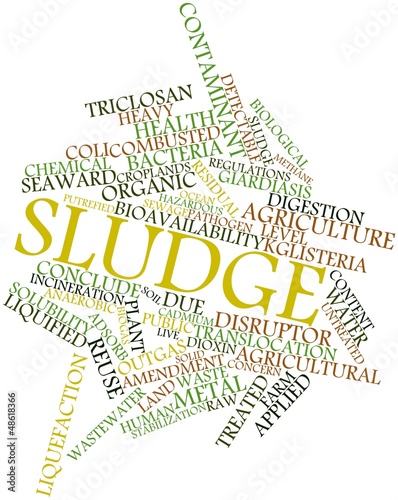 Word cloud for Sludge photo