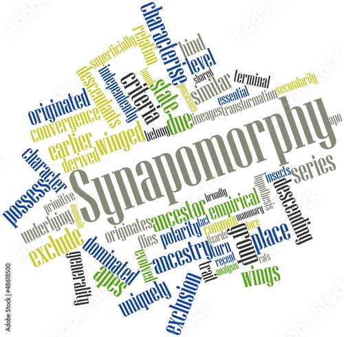 Word cloud for Synapomorphy