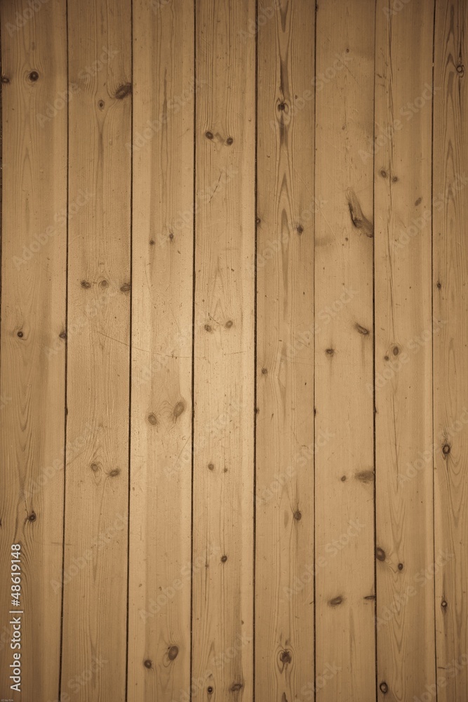 Fototapeta premium Holz