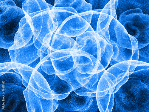blue cells