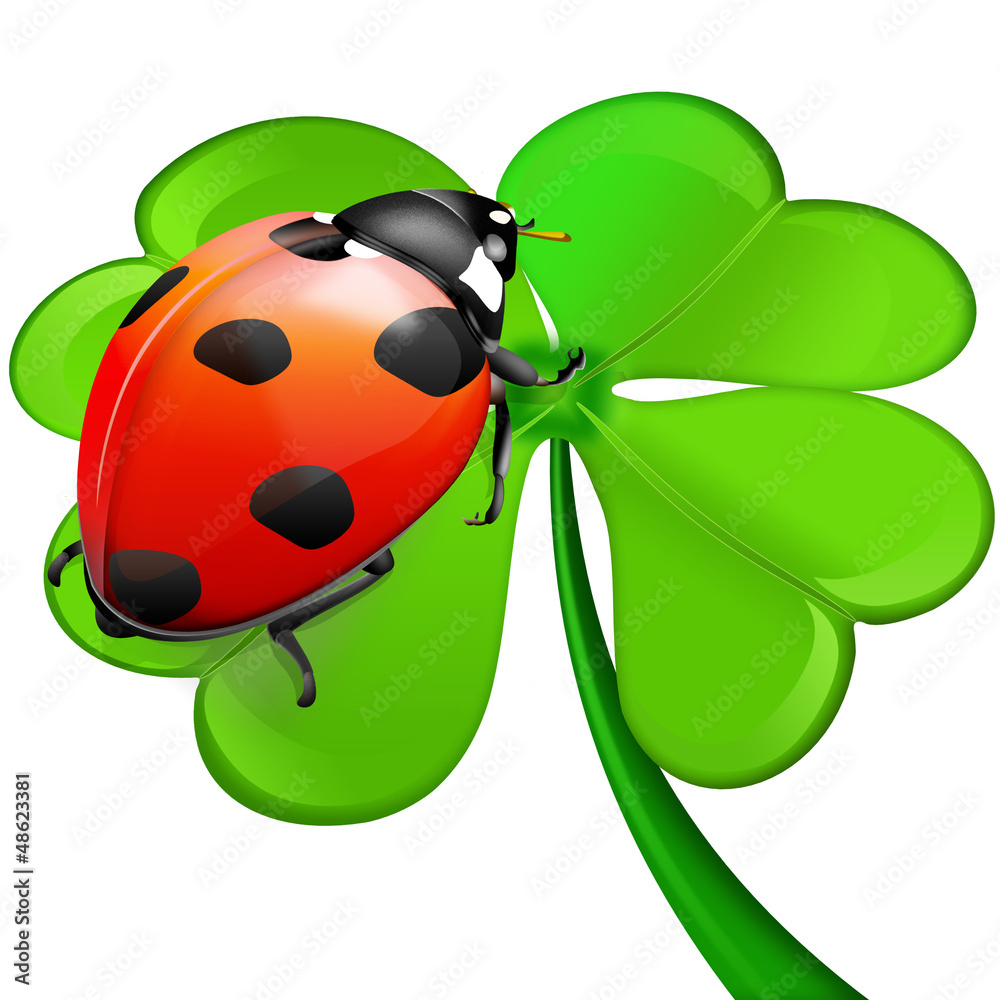  Marienkäfer auf Kleeblatt Stock Vector 