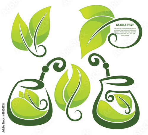 green tea collection