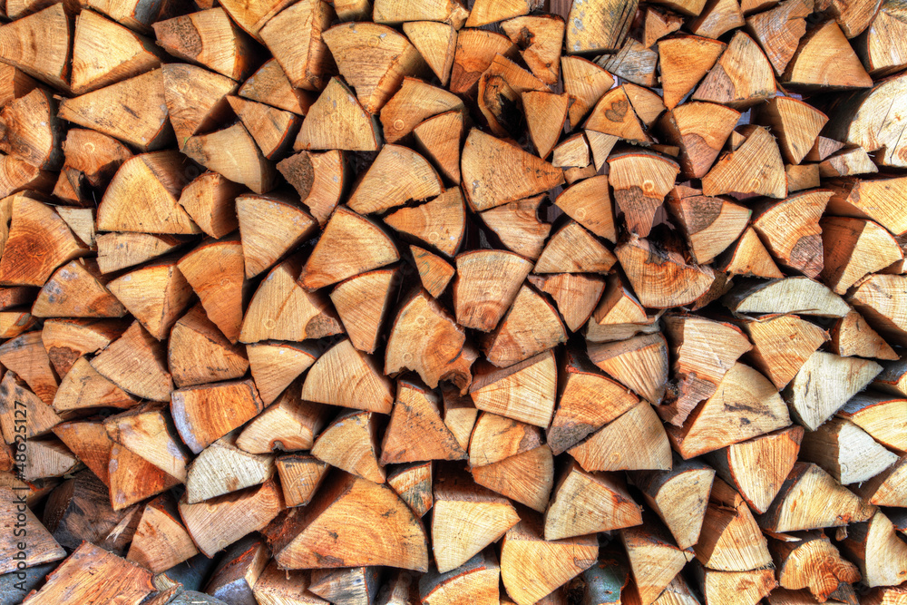 Wall of wood stump Wall of wood stump