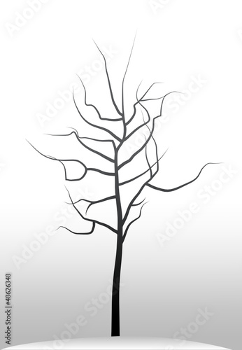 arbre nu
