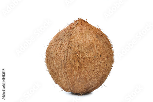 Obraz na plátně noix de coco