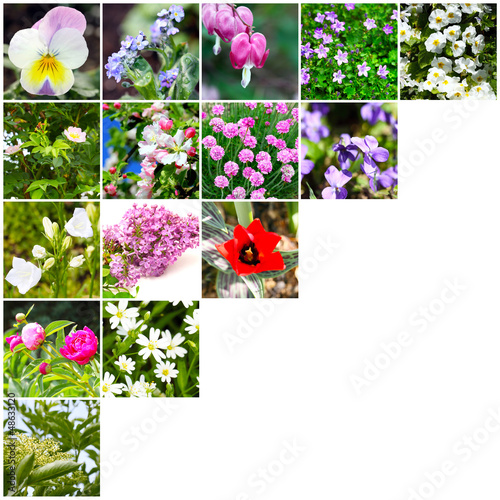 Blütenmosaik, Gartenzeitung, Kalenderbild