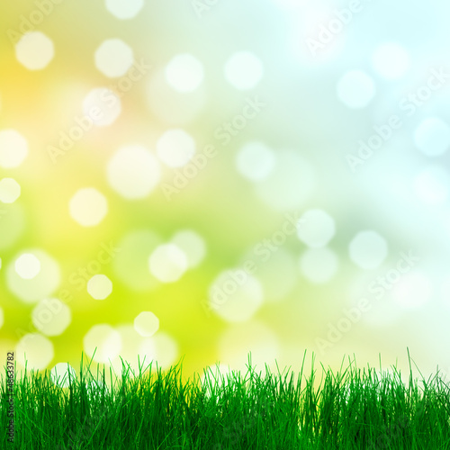 Grass