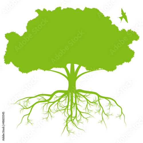 Tree with roots background ecology vector