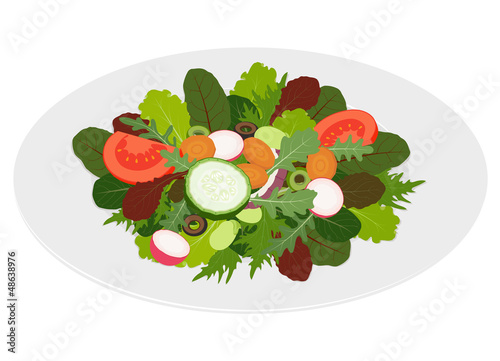 Fresh mixed salad leaves with vegetables