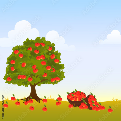 Apple tree
