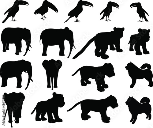 Zoo animals collection