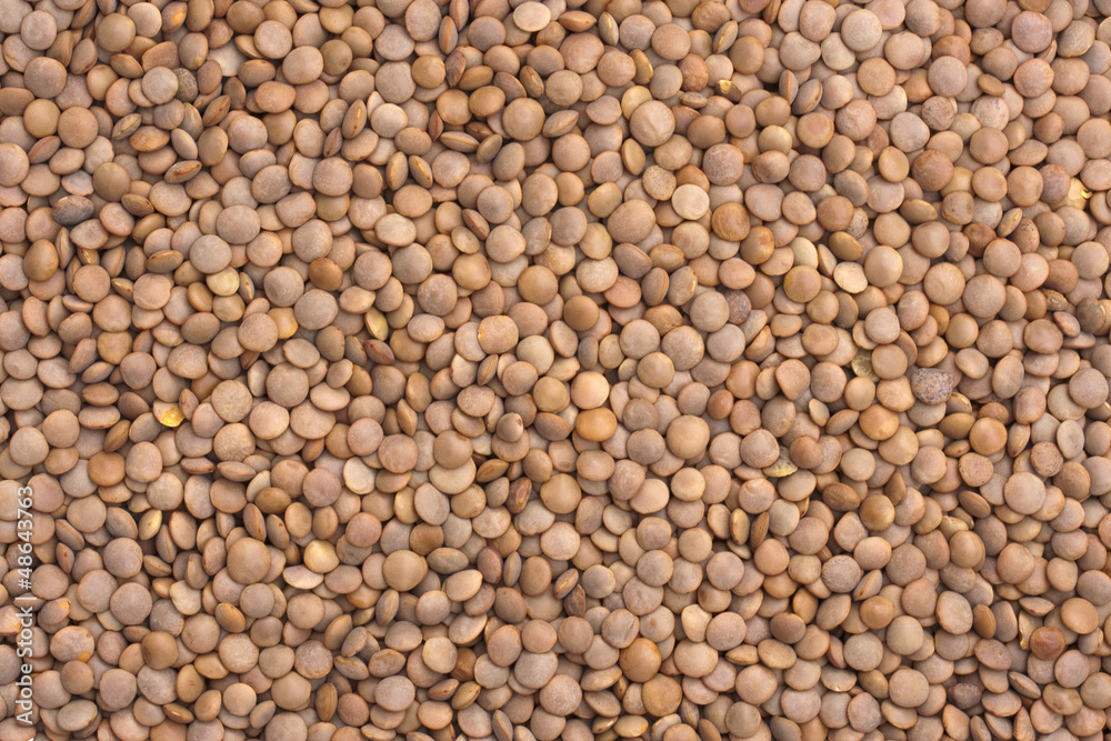 Dried Red Lentils Dried Red Lentils