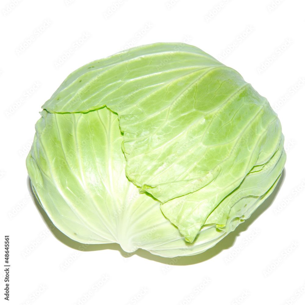 Fototapeta premium fresh cabbage