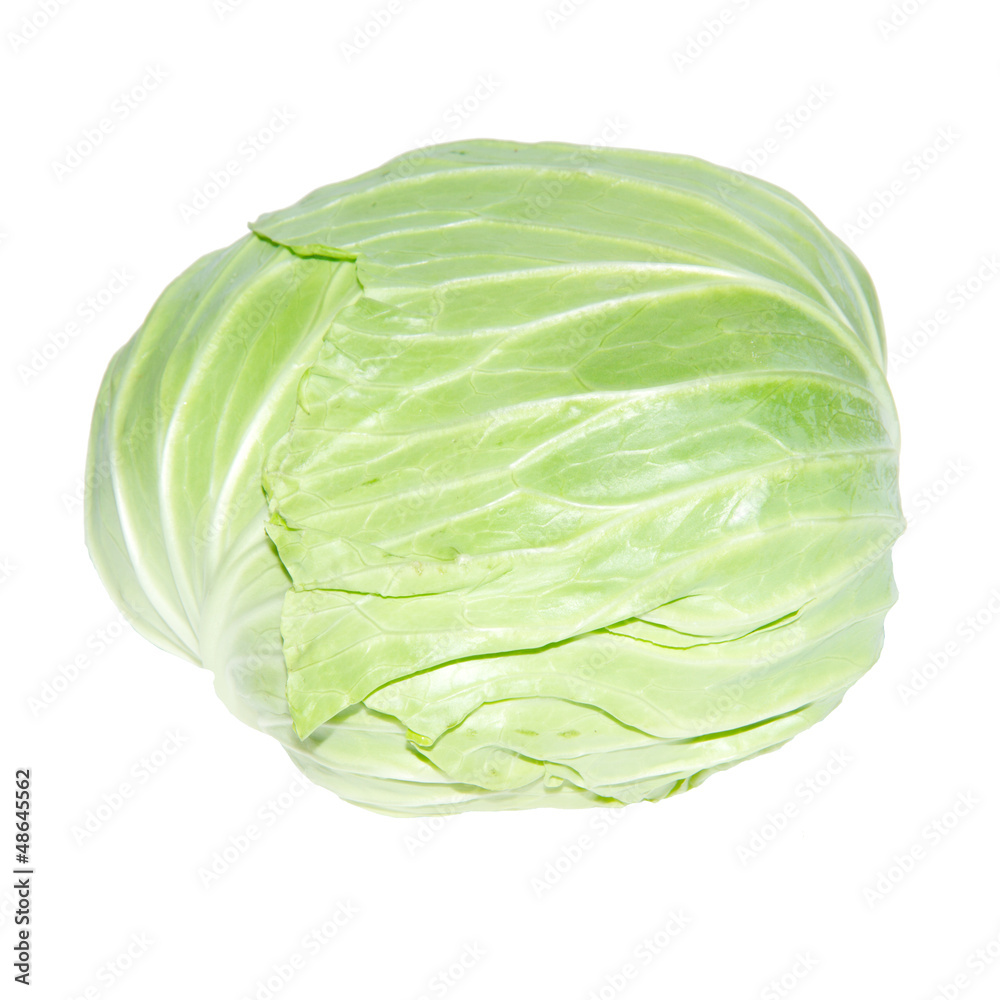 Fototapeta premium cabbage