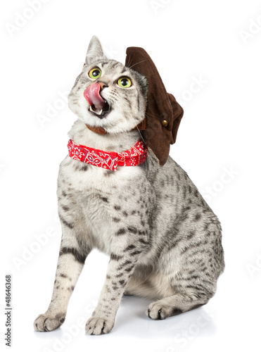 Cute cat with cowboy hat licking lips