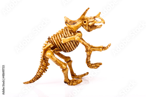 dinosaur skeleton on white background