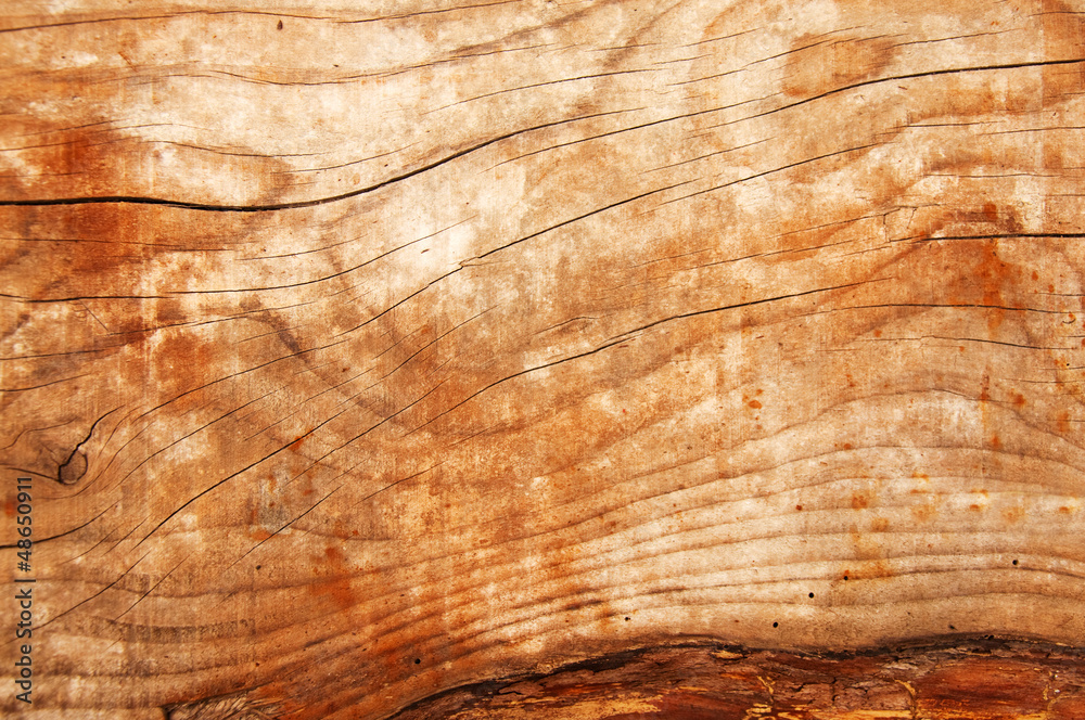 Wood texture
