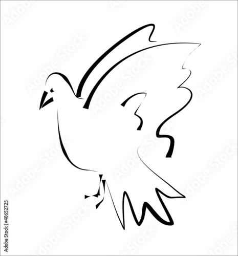 pigeon - sketch