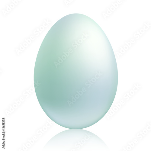 Big white egg