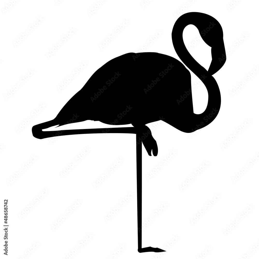 Obraz premium Flamingo Silhouette Vektor